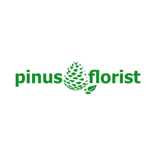 Pinus Florist